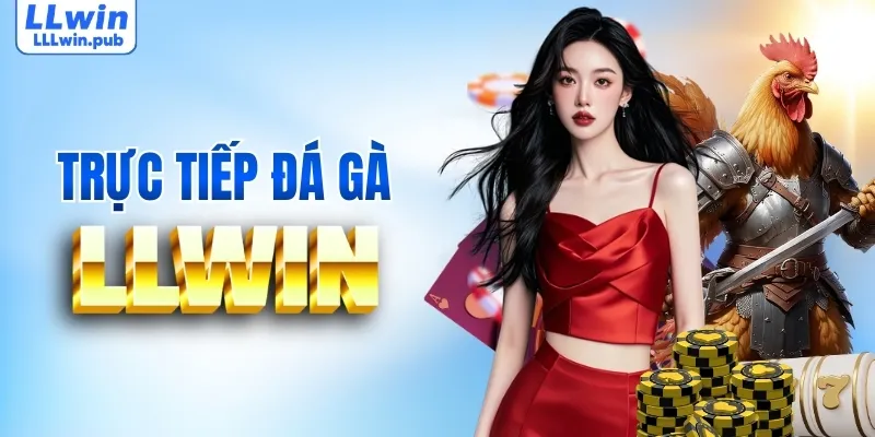 Đá gà - Phát sóng trực tiếp, đa dạng trận đấu