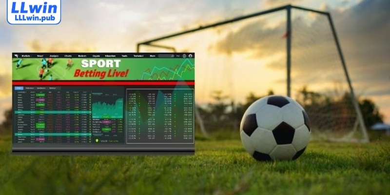 Khám phá các loại kèo rung được yêu thích nhất